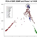 capture PCA world 1 (1).png